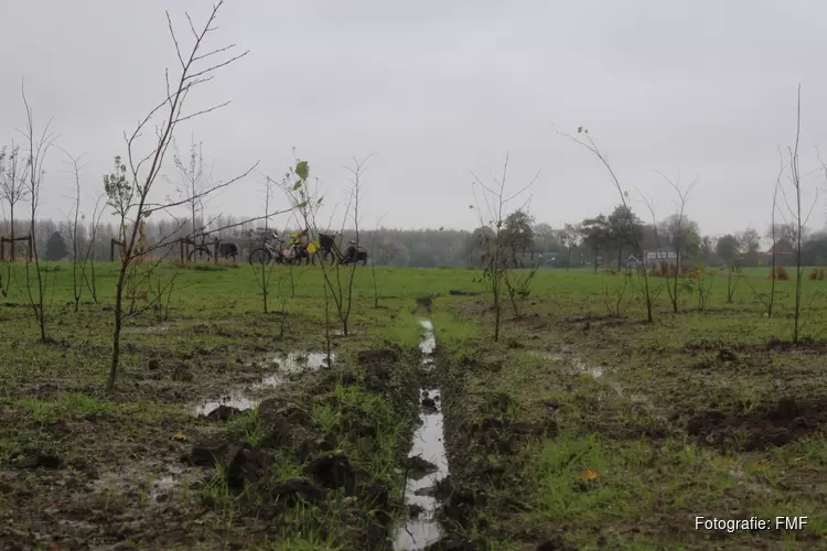 Landschapsbeheer Friesland en FMF zetten in op 92.000 bomen met Beammen foar Elkenien